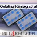 Kamagraoral Jelly 20